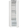 Gorenje RI518EA1